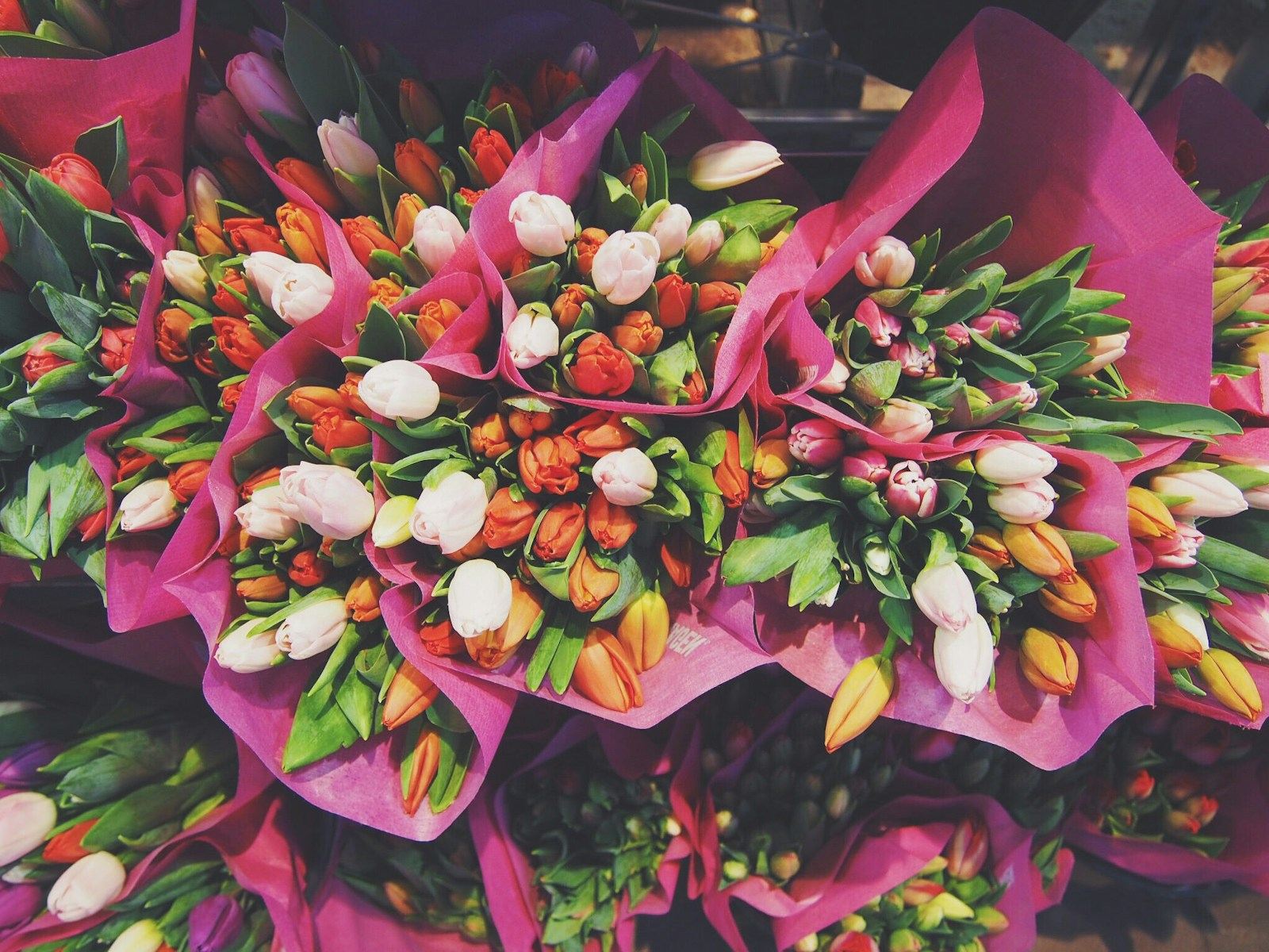 Bunte Tulpensträuße in rosa Papier
